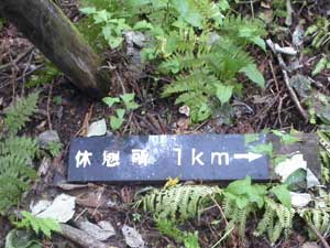 �x�e��1km�Ŕ�