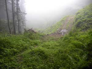 ��Ɠ��I�_�̏ꏊ