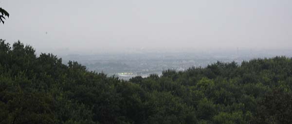 ���̓�����̒���