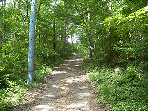 �X�ɃR���N���[�g�̓���i�񂾁B