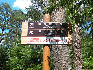 �W�]��ւ̕���̕W��