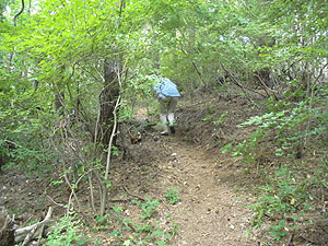 �W������̓o�R��