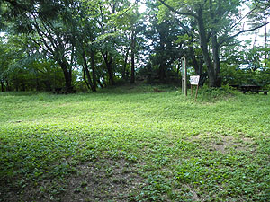 ����L��ɓ����`