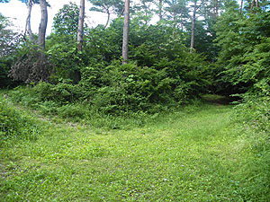 ����_����̓�