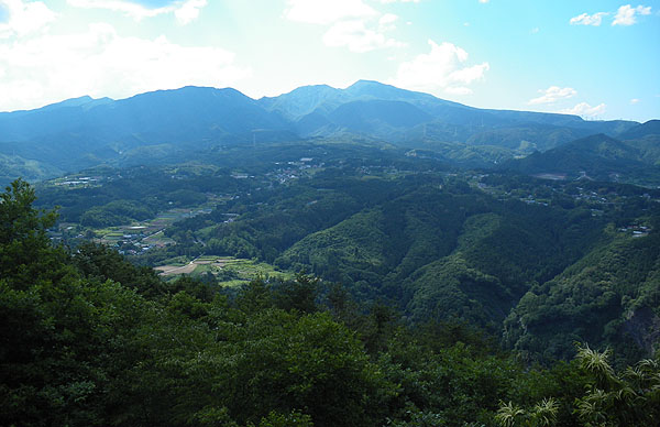 �W�]�䂩��̒���