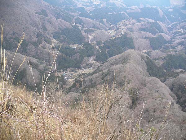 山頂からの眺め