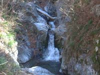 ���~�߂̑�