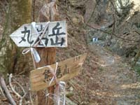 ����_�Ŕ�