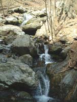 ����̈�̑�