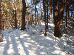 �����̓�