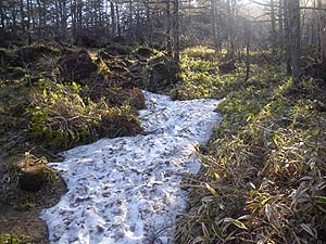 �o�R������킸��3���ŁA�c�Ⴊ���ꂽ�`