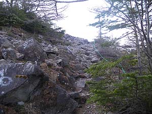 �������R�H�̎R�����H�H