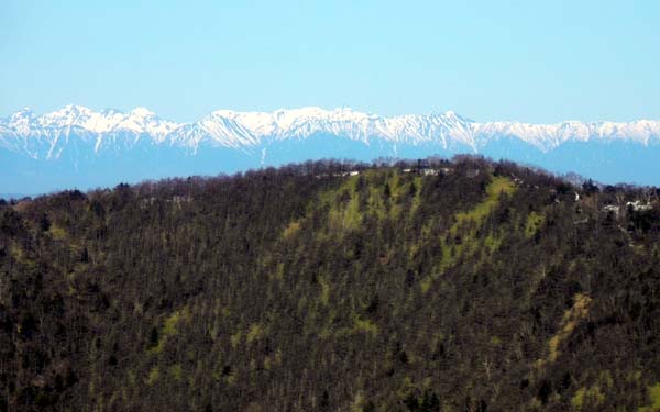 ��������̒���