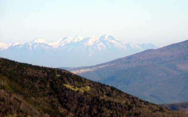 ��������̒���