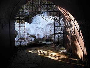 �V�F���^�[