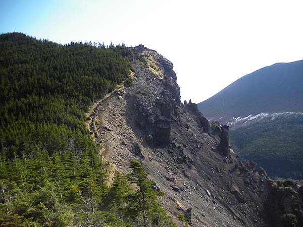 �����₩��̓o�R��