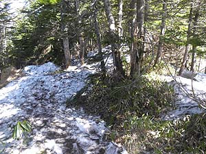 �؁X�̎}�������Ƃ������`