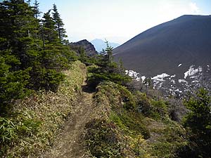 �����R����̓o�R���B