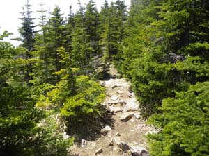 �����R����̓o�R���B