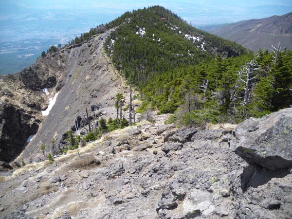 �g�[�~�̓�����̓o�R���B