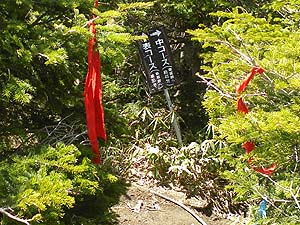 ����̕W��