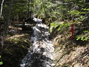 �c��̒��R�[�X