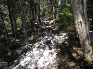 �c��̒��R�[�X