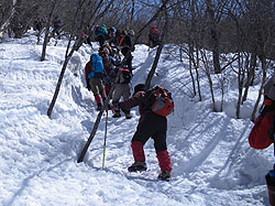 ���ԏꂩ��o�R���ւ̓�