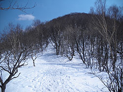 ��P�x�ւ̍Ō�̏��