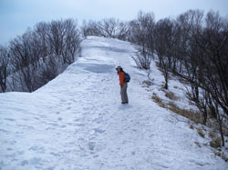 ���������ɐi��