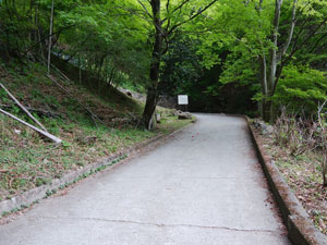 ���ԏꂩ��ܑ̕��H�B