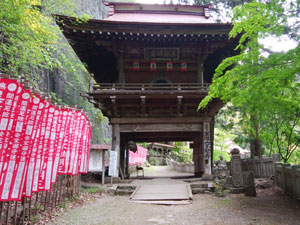 ����R�s����