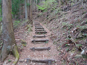 �s��������̓o�R���B