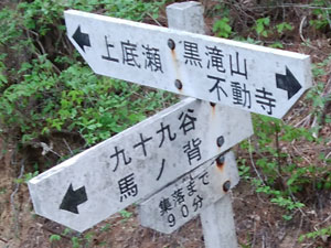 ���̕���