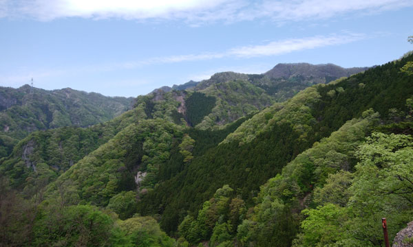 �i�F�͍ō��`�`�I