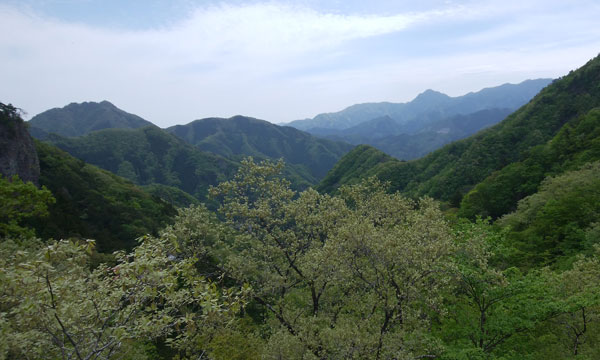 �i�F�͍ō��`�`�I