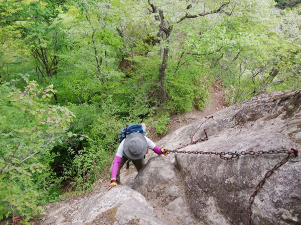 �N�T����