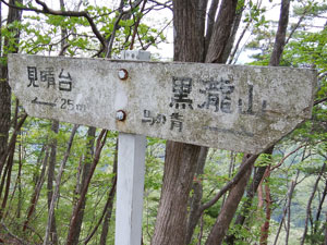 ����̕W��