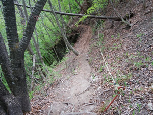 ���򂩂�̓o�R��