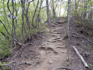 ���򂩂�̓o�R���B