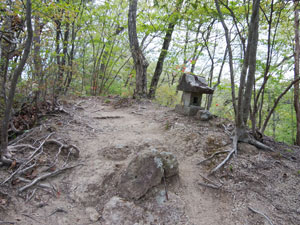 ���򂩂�̓o�R���B