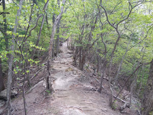 ���򂩂�̓o�R���B