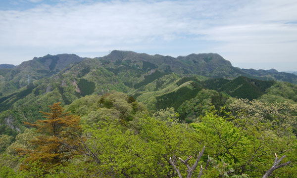 �R������̒���