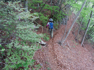 ���򂩂�̓o�R���B