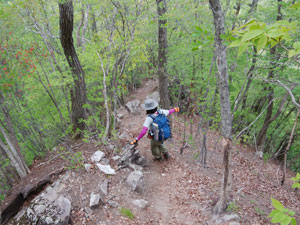 ���򂩂�̓o�R��