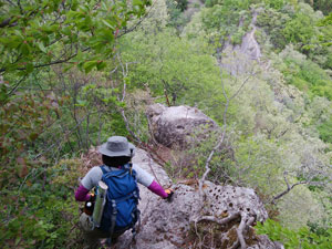 ���򂩂�̓o�R��