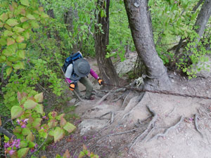 ���̓N�T����