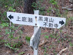 ���ётɓ������B