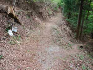 ���̕���