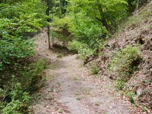 ���򂩂�̓o�R��